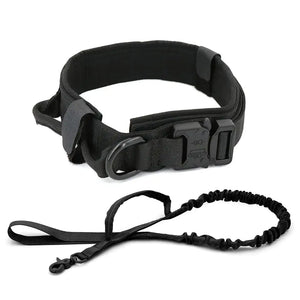 Dog Collar & Leash (Set)