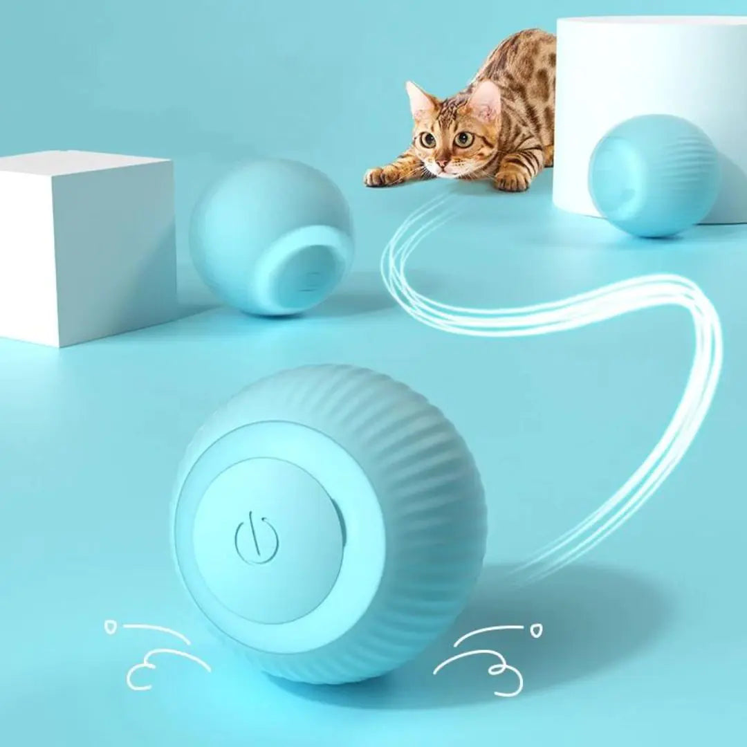 Smart Dog Toy Ball