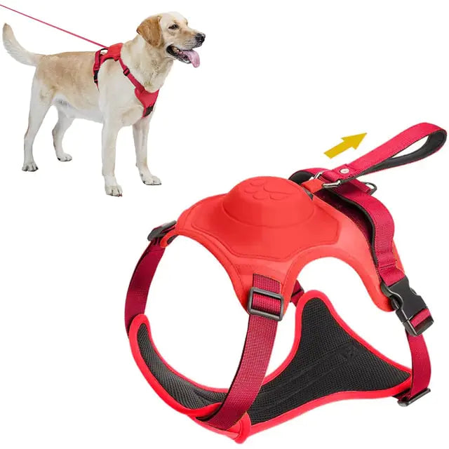 All-in-One Dog Harness