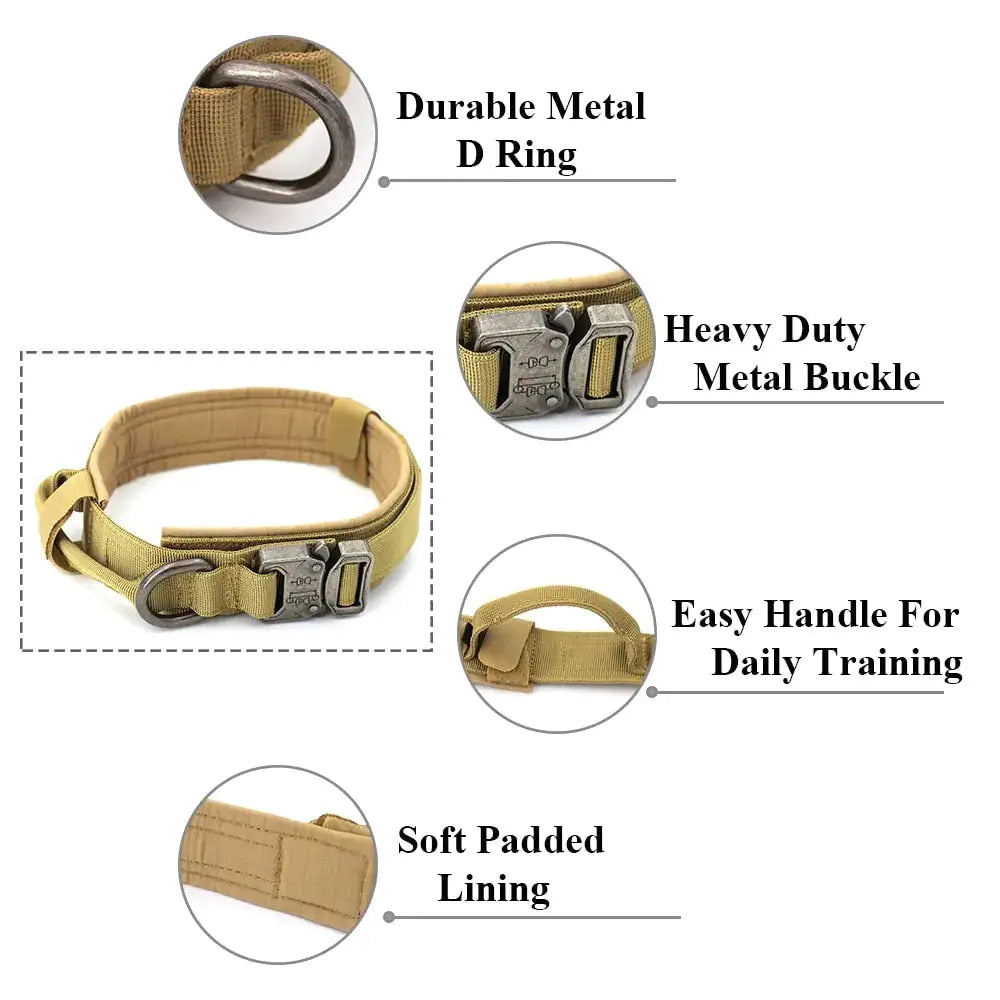 Dog Collar & Leash (Set)